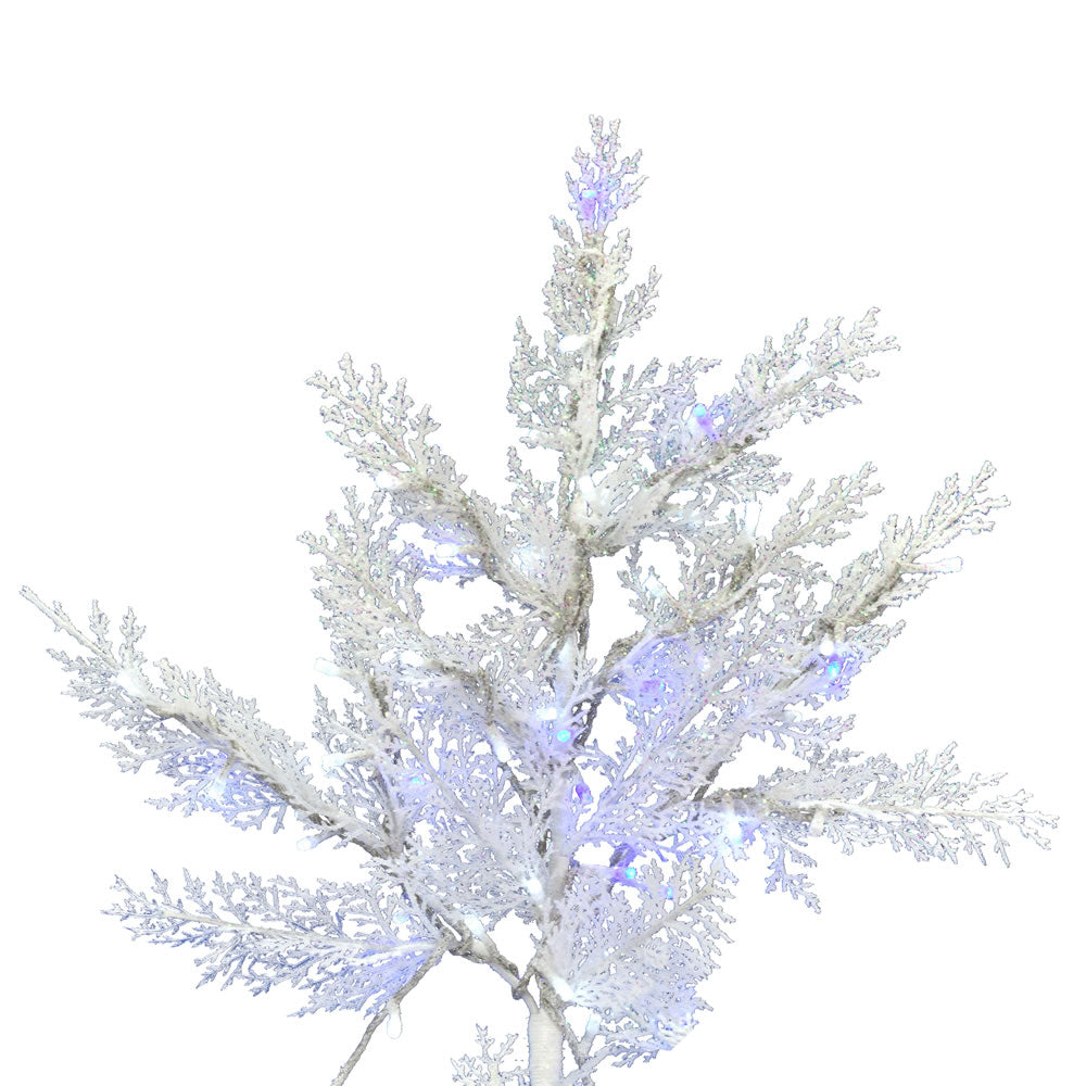 Vickerman 5.5' x 47" Flocked Cedar Pine Artificial Christmas Tree Low Voltage LED Pure White and Blue Wide Angle 3mm Lights