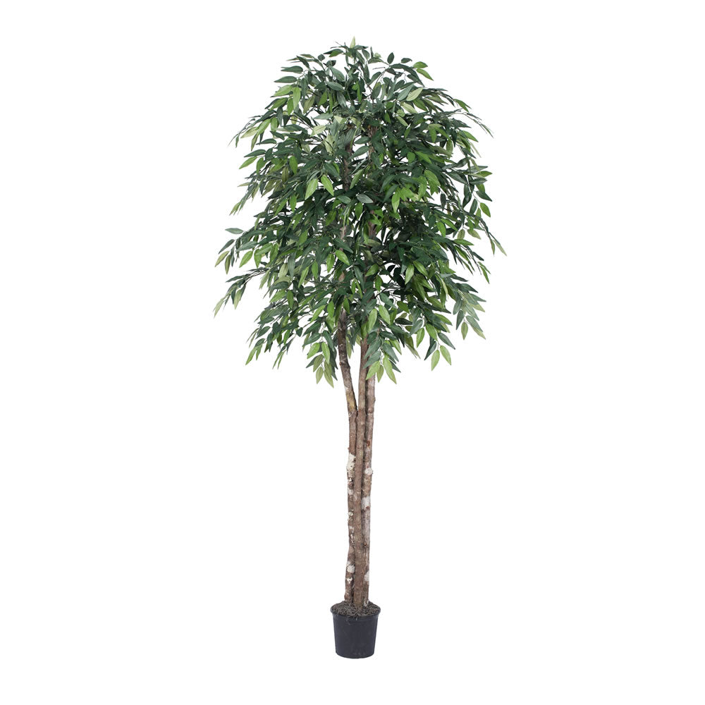 Vickerman 6' Artificial Green Smilax Deluxe Black Plastic Pot