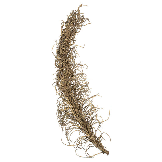 Vickerman 36-40" Natural Medusa Branch - medium 1 piece Dried