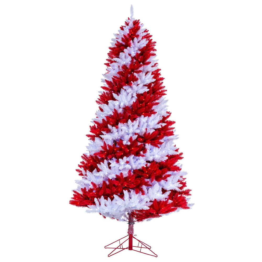 Vickerman 9' x 56" Candy Cane Artificial Pre-lit Christmas Pine Tree Pure White and Red LED Lights.