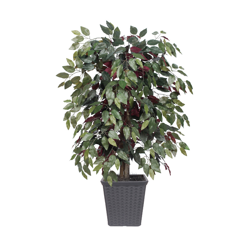 Vickerman 4' Artificial Capensia Bush Gray Square Plastic Container