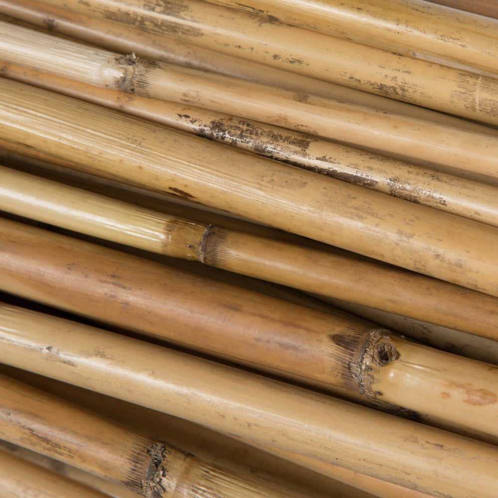 Vickerman Natural Botanicals 40" Bamboo Reed Natural Clean. Includes 100 pieces per pack.