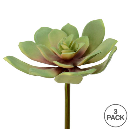 Vickerman 5.5" Artificial Green Echeveria Pick Pack of 3