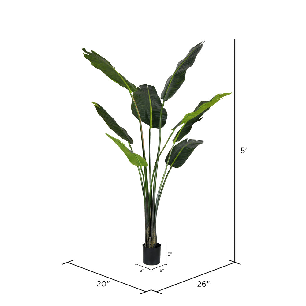 Vickerman 5' Artificial Potted Travellers Palm Tree.