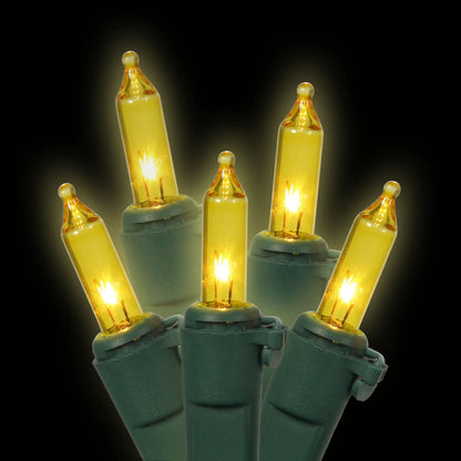 Vickerman 50 Gold Mini Light on Green Wire 23' Christmas Light Strand