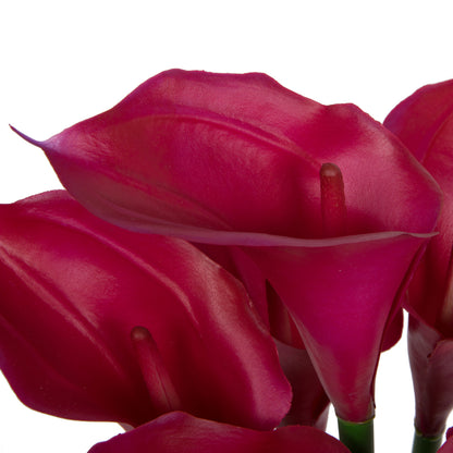 Vickerman Artificial 24" Purple Calla Lillies in Glass Vase.
