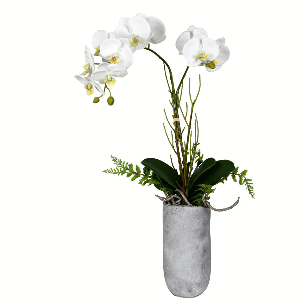 Vickerman 17" Artificial White Butterfly Orchid.