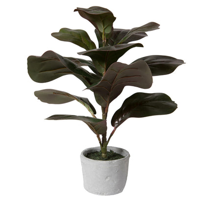 Vickerman 17" Red and Green Artificial Fiddle Leaf Fig Plant in Pot.