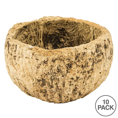 Vickerman 3"  Half Bleached Mayan Coconut 10 per Pack Dried