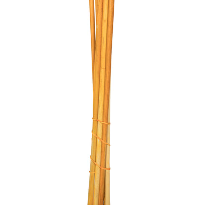 Vickerman 46" Dried Aspen Gold Pampas Grass 6 pack. It includes two stems. Recommended for Indoor.