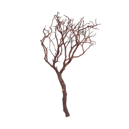 Vickerman Manzanita Tree Natural 24" Dried