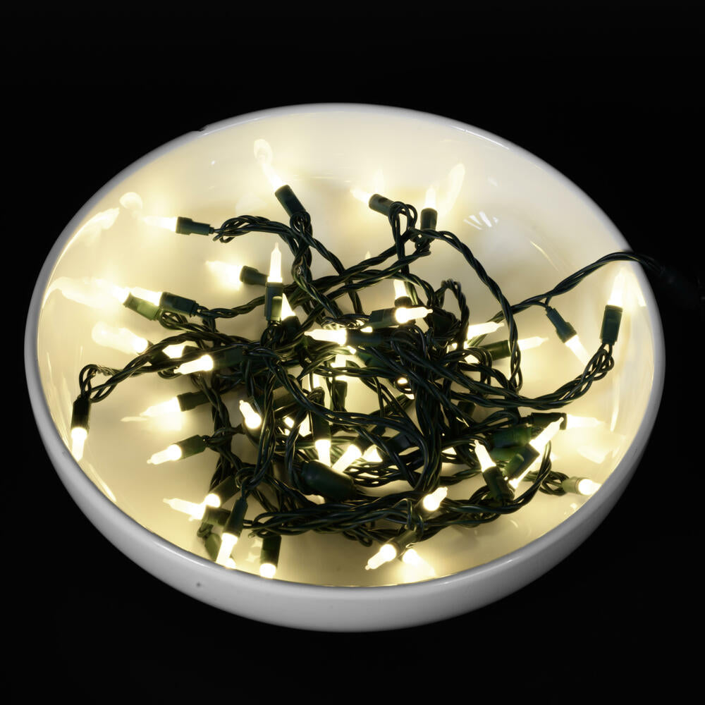 Vickerman 25' Frosted Warm White Single Mold Italian LED Christmas light set.