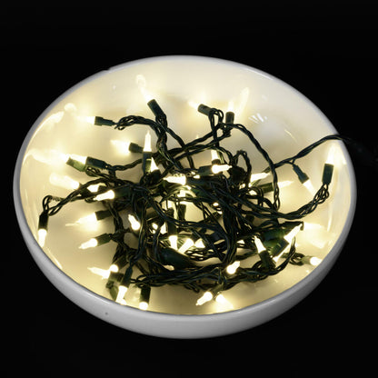Vickerman 25' Frosted Warm White Single Mold Italian LED Christmas light set.