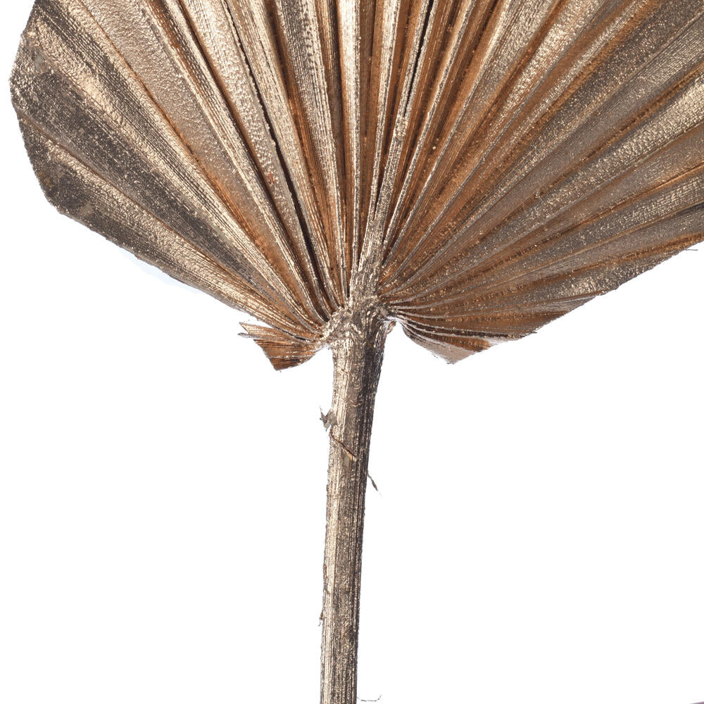 Vickerman Natural Botanicals 15.75 - 19.5" Metallic Gold Dried Palm Spear 12 per bag.