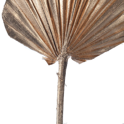 Vickerman Natural Botanicals 15.75 - 19.5" Metallic Gold Dried Palm Spear 12 per bag.