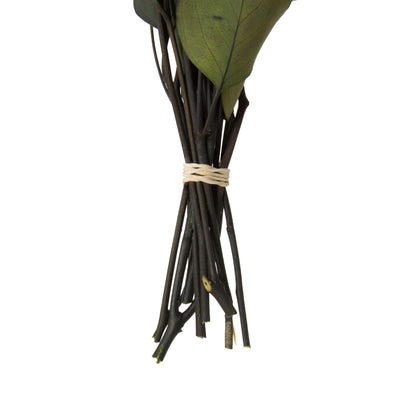 Vickerman Natural Botanicals 18-20" x 8" Eucalyptus Populus Green 100 grams per unit