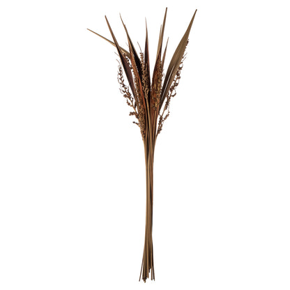 Vickerman 36" Natural Bahia Spears with Seeds 2 pack Dried