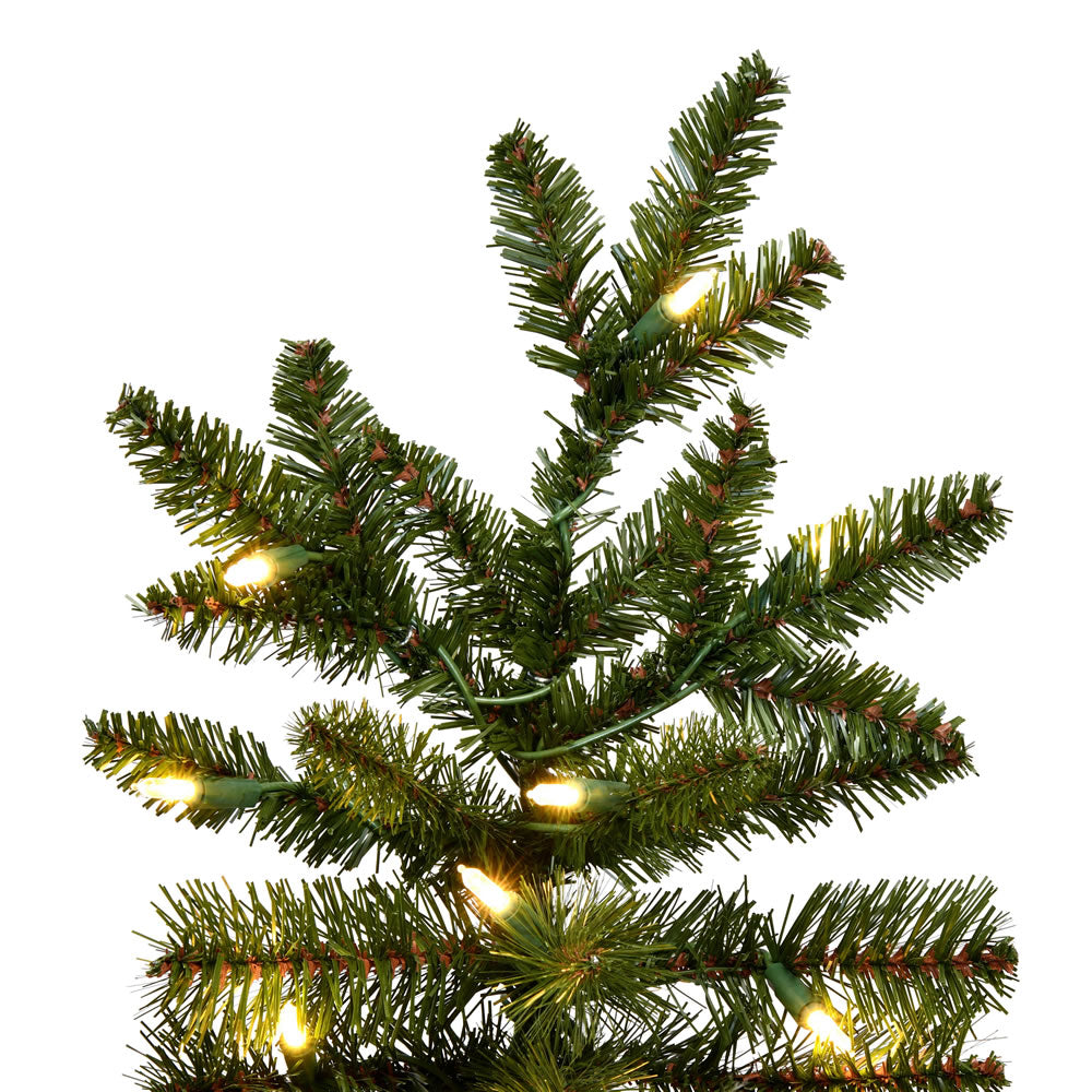 Vickerman 12' x 72" Slim Natural Fraser Fir Artificial Tree Warm White Dura-lit LED Lights.