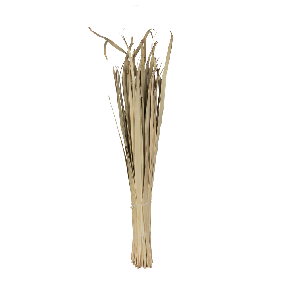 Vickerman Natural Botanicals 40" Sun Palm Leaf Natural Clean. Includes 100 Pieces per Pack