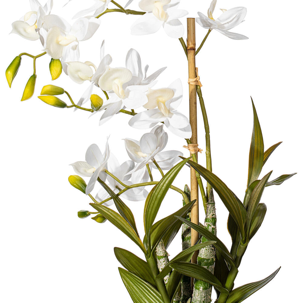 Vickerman 19" Artificial White Deluxe Potted Cycnoches Orchid.