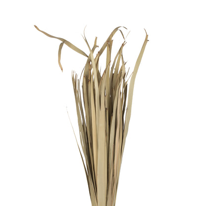 Vickerman Natural Botanicals 40" Sun Palm Leaf Natural Clean. Includes 100 Pieces per Pack