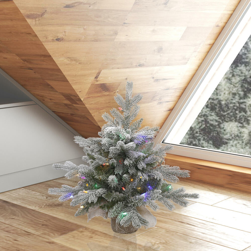 Vickerman 24" Frosted Sable Pine Artificial Christmas Tree Multi-Colored Dura-Lit® LED Lights.