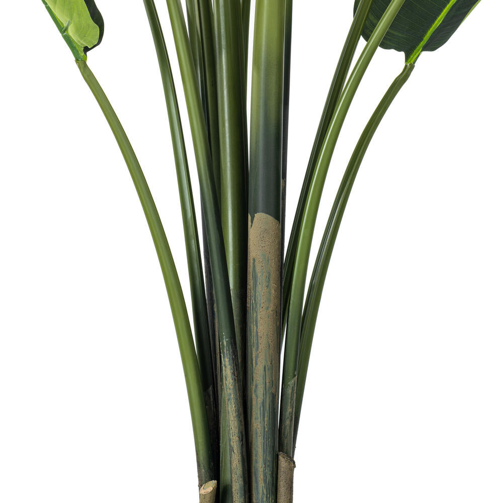 Vickerman 6' Artificial Potted Travellers Palm Tree.