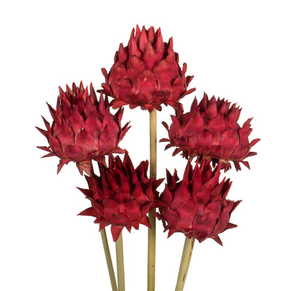 Vickerman 15" Red Artichoke Head attached to a Reed Stem.  Includes 9 Stems per Pack Dried