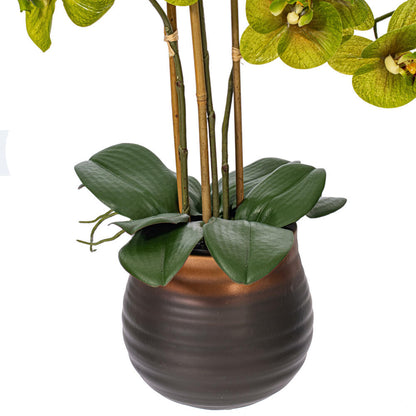 Vickerman 22" Artificial Potted Real Touch Green Phalaenopsis Spray.