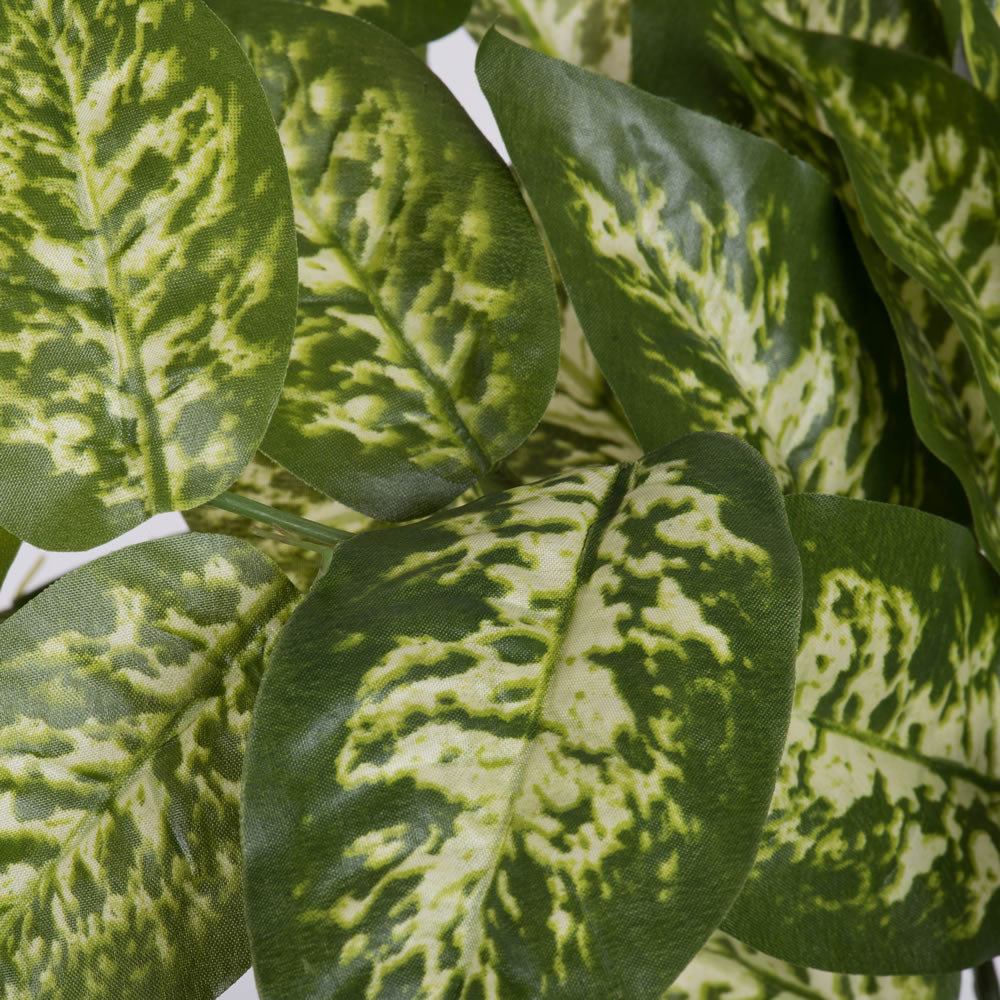Vickerman 24" Artificial Green Dieffenbachia Bush Vine Pack of 2