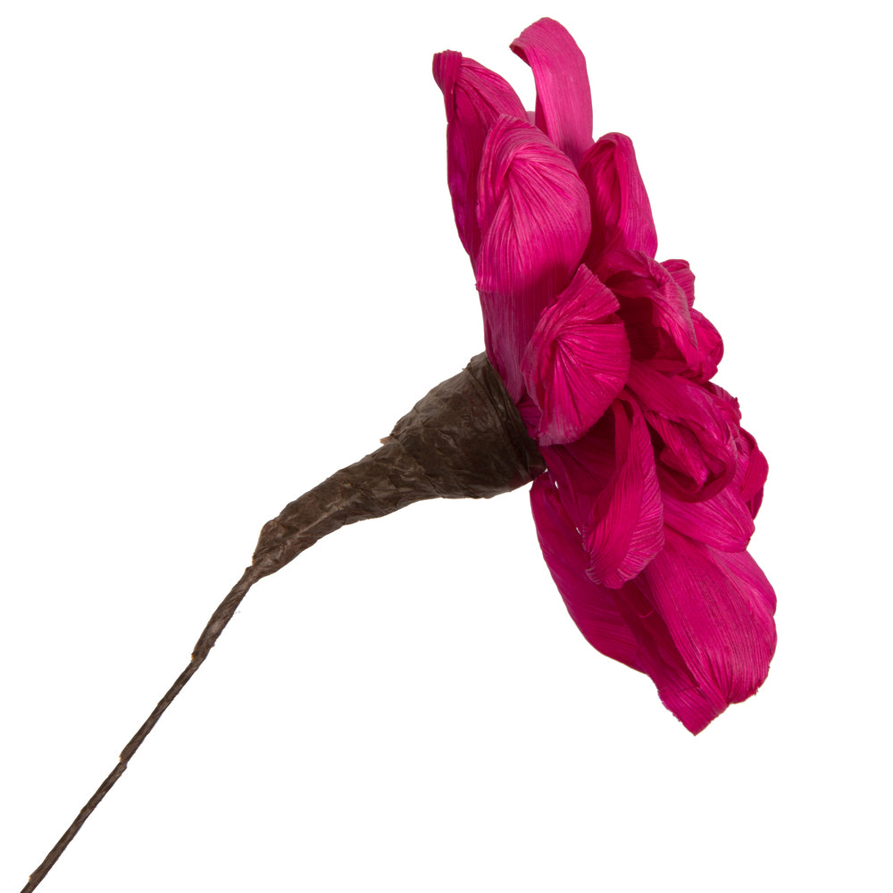 Vickerman Natural Botanicals 6" Raspberry Maize Dahlia. 6 stem/bag. Dried and preserved.