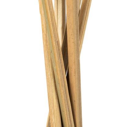Vickerman 15" Natural Tigela Pod Stemmed 7 stems per pack Dried