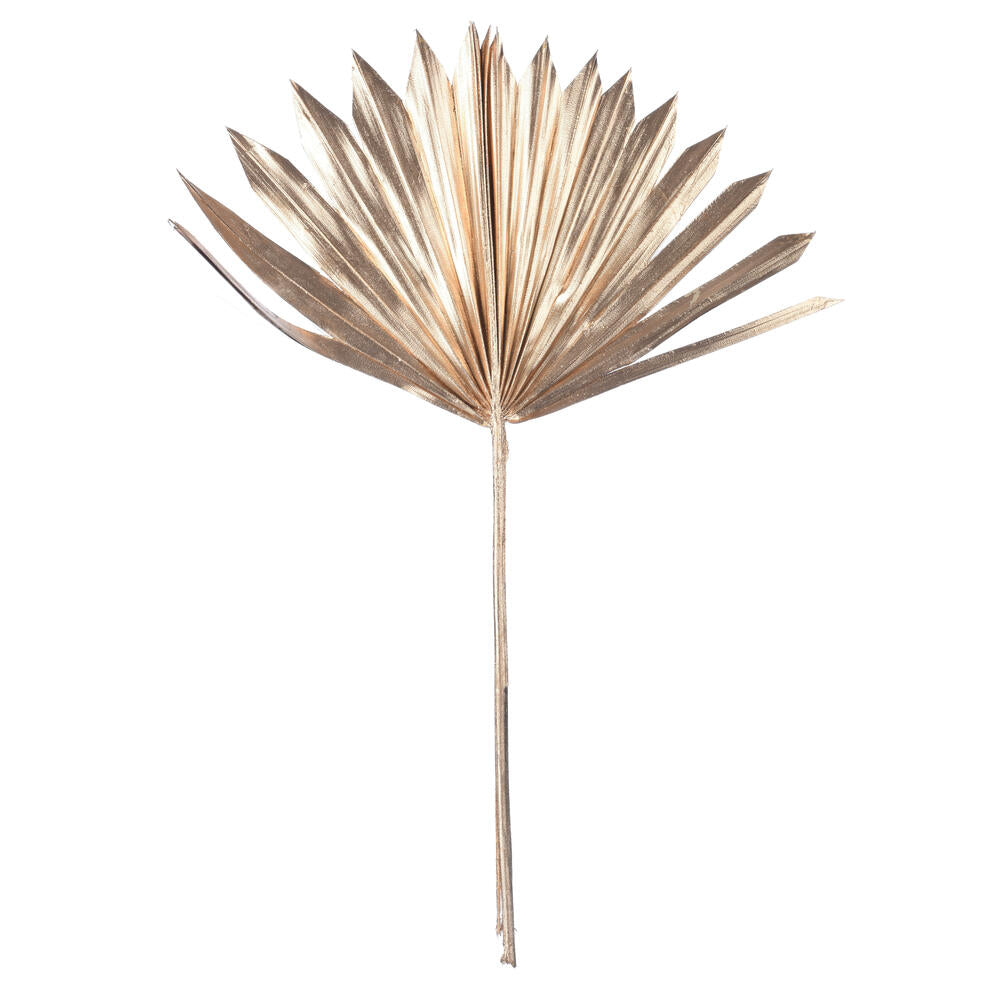 Vickerman Natural Botanicals 13.75 - 19.5" Metallic Gold Dried Palm Sun Spear 12 per bag.