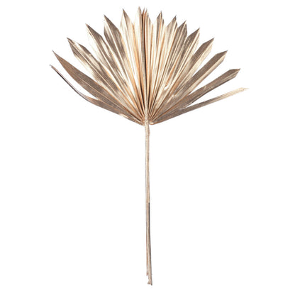 Vickerman Natural Botanicals 13.75 - 19.5" Metallic Gold Dried Palm Sun Spear 12 per bag.