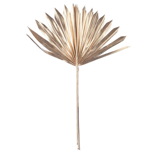 Vickerman Natural Botanicals 13.75 - 19.5" Metallic Gold Dried Palm Sun Spear 12 per bag.