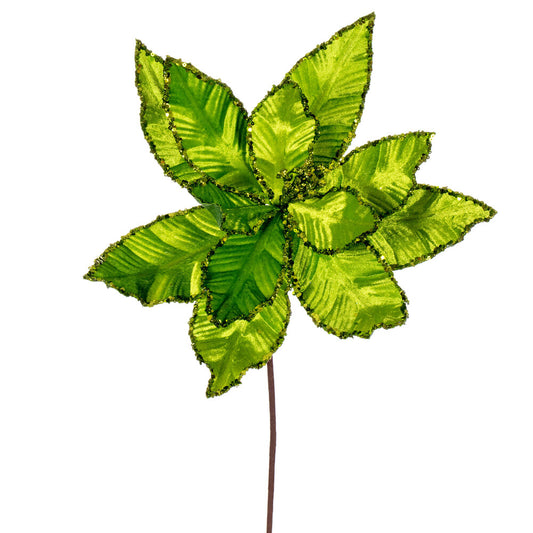 Vickerman 24" Lime Velvet Sequin Trim Poinsettia 3 per bag.