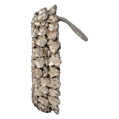 Vickerman 20" Champagne Coco Flower Wreath Dried
