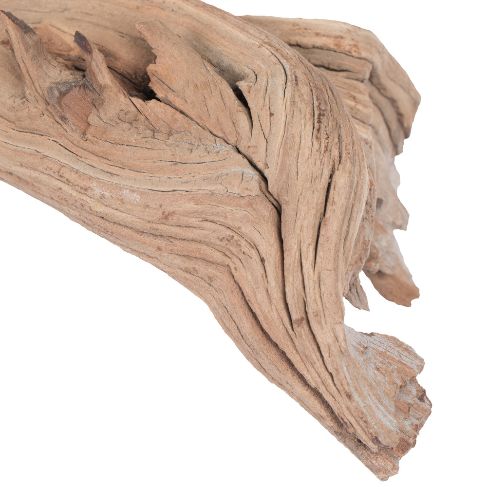 Vickerman Ghostwood Manzanita Sand Blasted 24" Dried