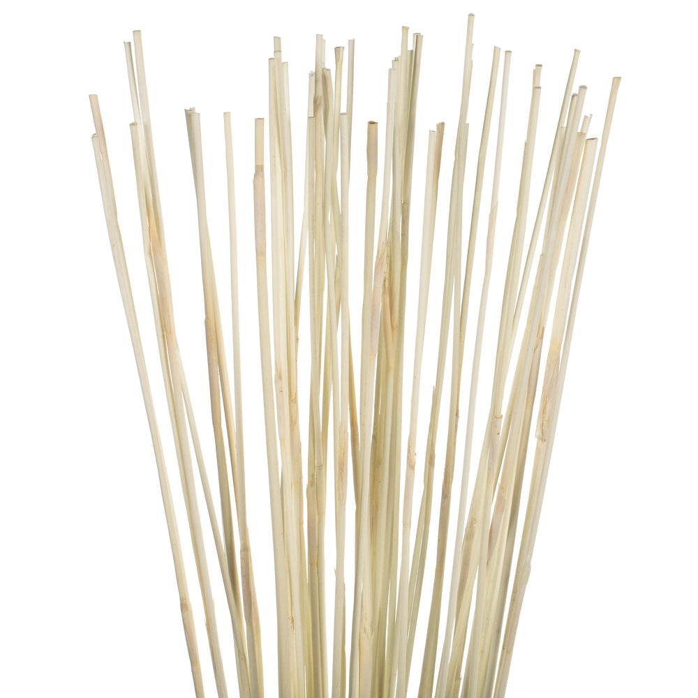 Vickerman 40" Bleached Elephant Reed 10 oz Bundle Dried