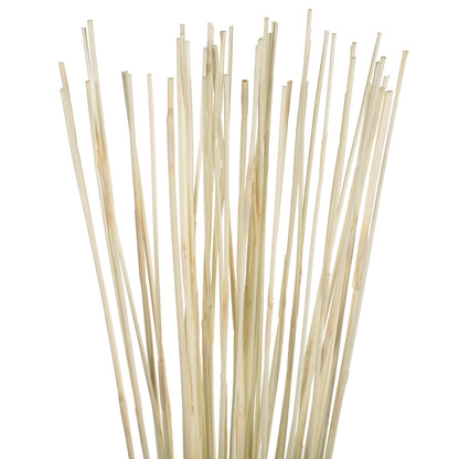 Vickerman 40" Bleached Elephant Reed 10 oz Bundle Dried