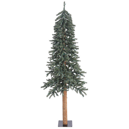 Vickerman 6' Natural Bark Alpine Artificial Christmas Tree Unlit