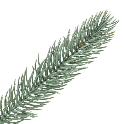 Vickerman 24" Colorado Blue Spruce Artificial Christmas Wreath Unlit