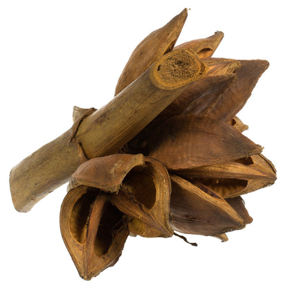 Vickerman 6" Aspen Gold Star Pod 1 piece Dried
