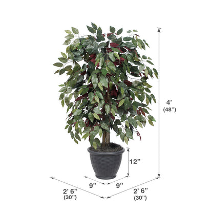 Vickerman 4' Artificial Capensia Bush Gray Round Plastic Container.