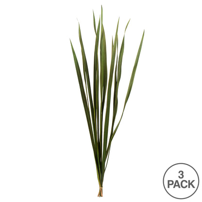 Vickerman 18-30" Basil Snake Grass. Includes 36 Stems (3 - 12 Stem Bundles) Dried