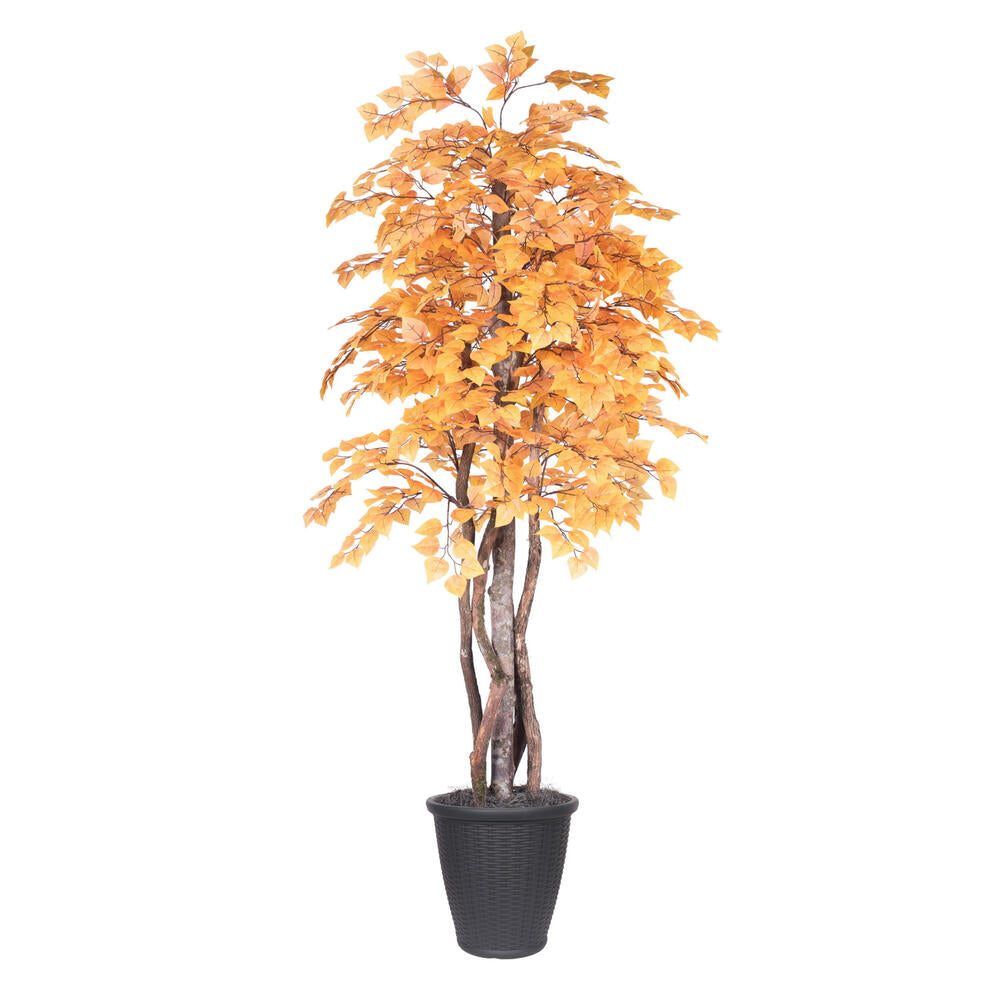 Vickerman 6' Artificial Golden Aspen Executive Tree Gray Round Plastic Container.