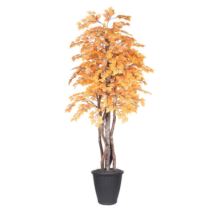 Vickerman 6' Artificial Golden Aspen Executive Tree Gray Round Plastic Container.