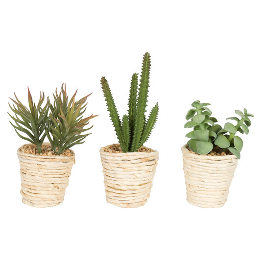 Vickerman 5" Artificial Potted Succulent Plants.