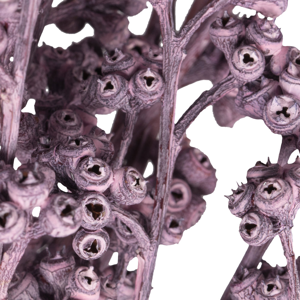 Vickerman Natural Botanicals 13" x 1-3" Red Gum Branch Brombeer Frosted 14 stems per unit