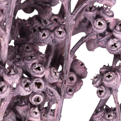 Vickerman Natural Botanicals 13" x 1-3" Red Gum Branch Brombeer Frosted 14 stems per unit